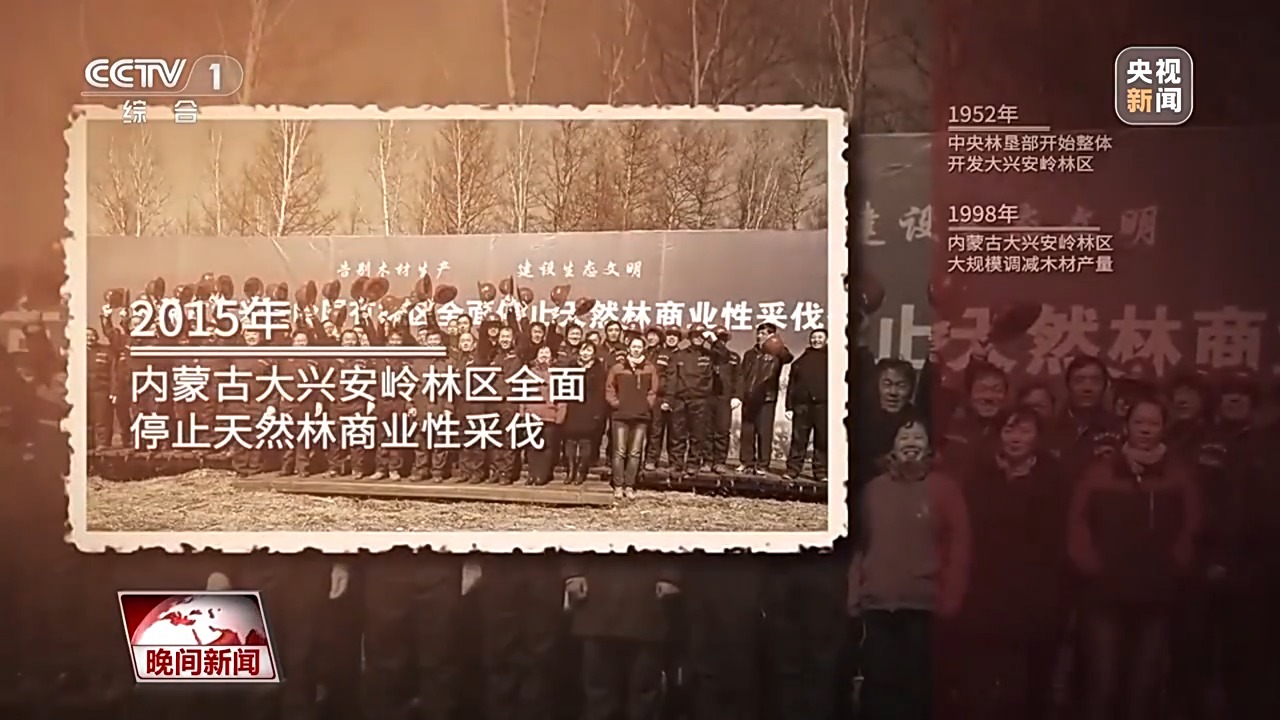 看见美丽中国丨停伐十年 看“绿色宝库”大兴安岭的转型路