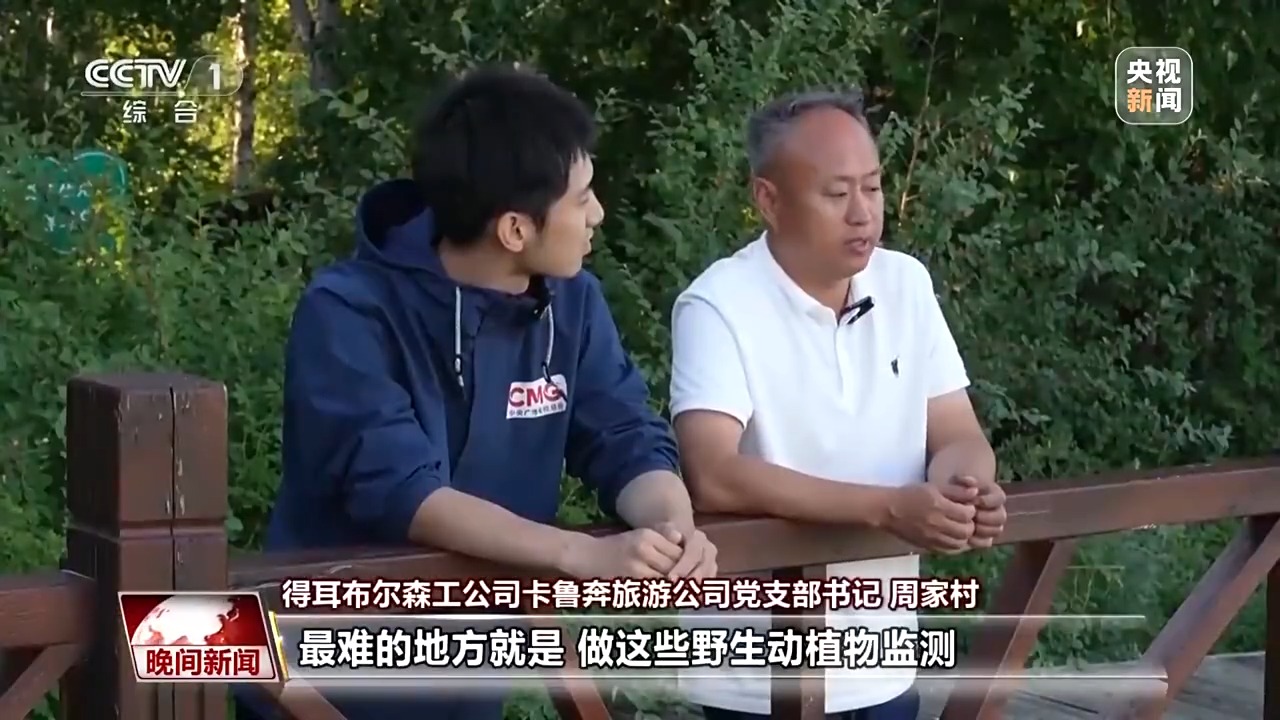 看见美丽中国丨停伐十年 看“绿色宝库”大兴安岭的转型路