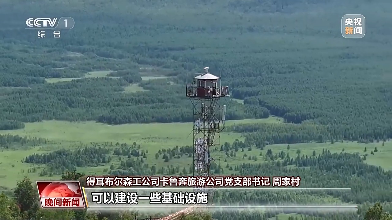看见美丽中国丨停伐十年 看“绿色宝库”大兴安岭的转型路
