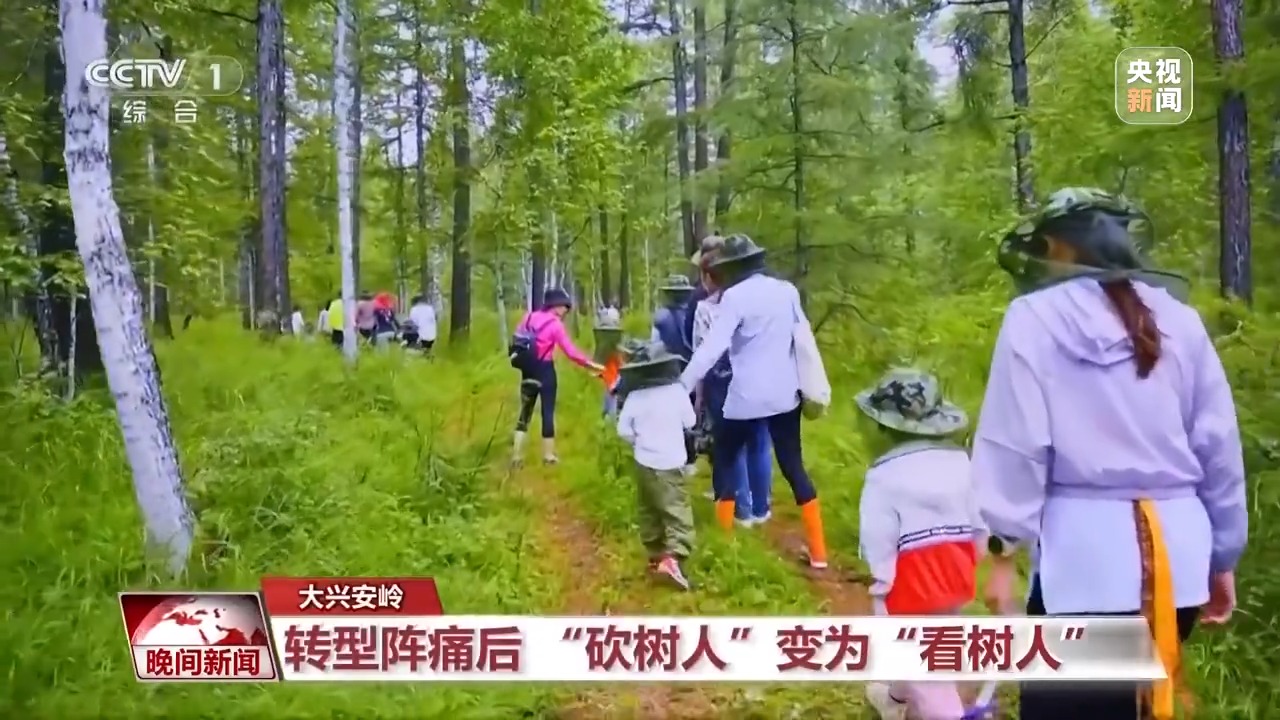 看见美丽中国丨停伐十年 看“绿色宝库”大兴安岭的转型路