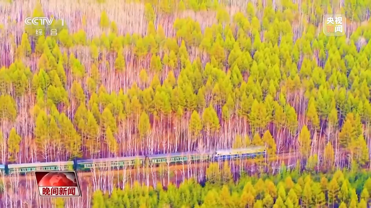 看见美丽中国丨停伐十年 看“绿色宝库”大兴安岭的转型路