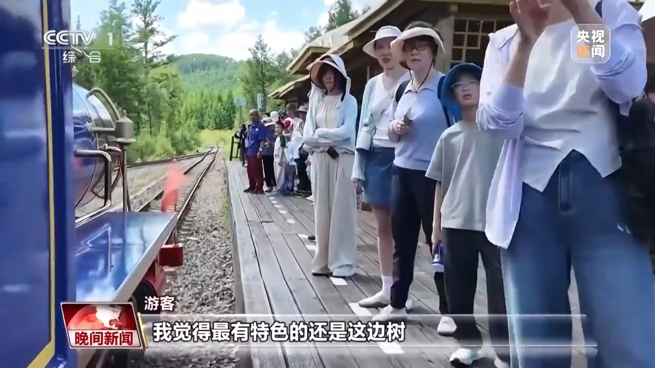 看见美丽中国丨停伐十年 看“绿色宝库”大兴安岭的转型路