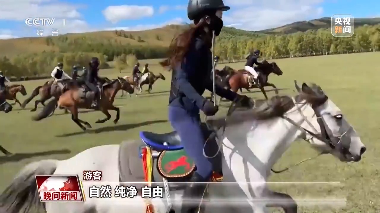看见美丽中国丨停伐十年 看“绿色宝库”大兴安岭的转型路