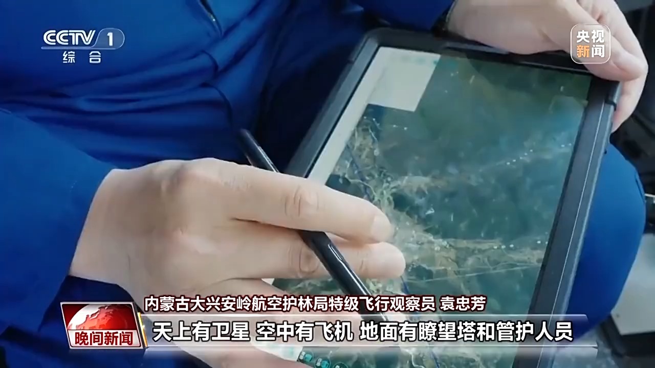 看见美丽中国丨停伐十年 看“绿色宝库”大兴安岭的转型路