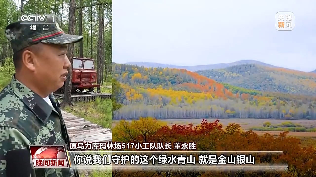 看见美丽中国丨停伐十年 看“绿色宝库”大兴安岭的转型路