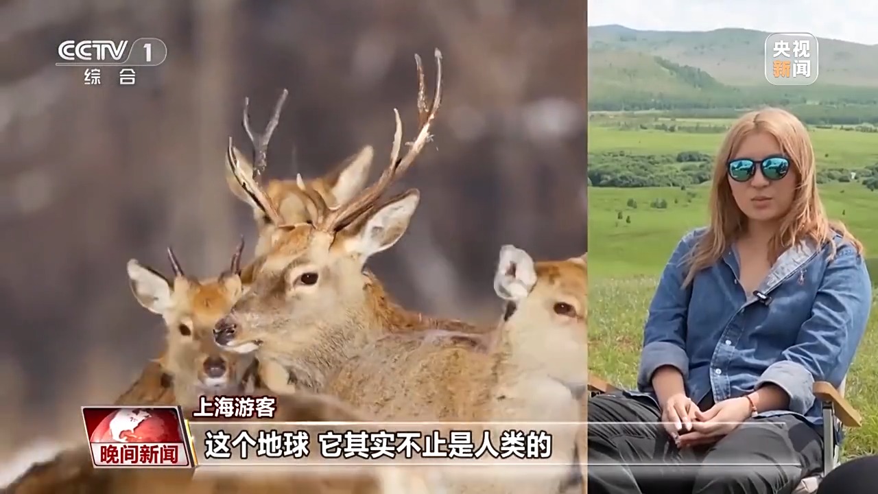 看见美丽中国丨停伐十年 看“绿色宝库”大兴安岭的转型路