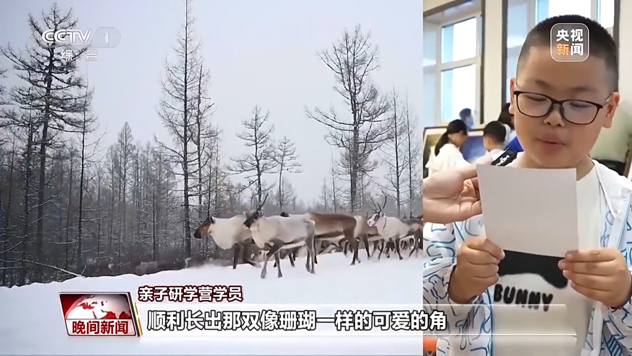 看见美丽中国丨停伐十年 看“绿色宝库”大兴安岭的转型路
