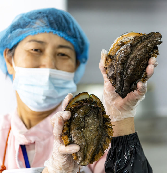 精耕深蓝，加快建设海洋强国——“中国经济圆桌会”聚焦海洋经济高质量发展