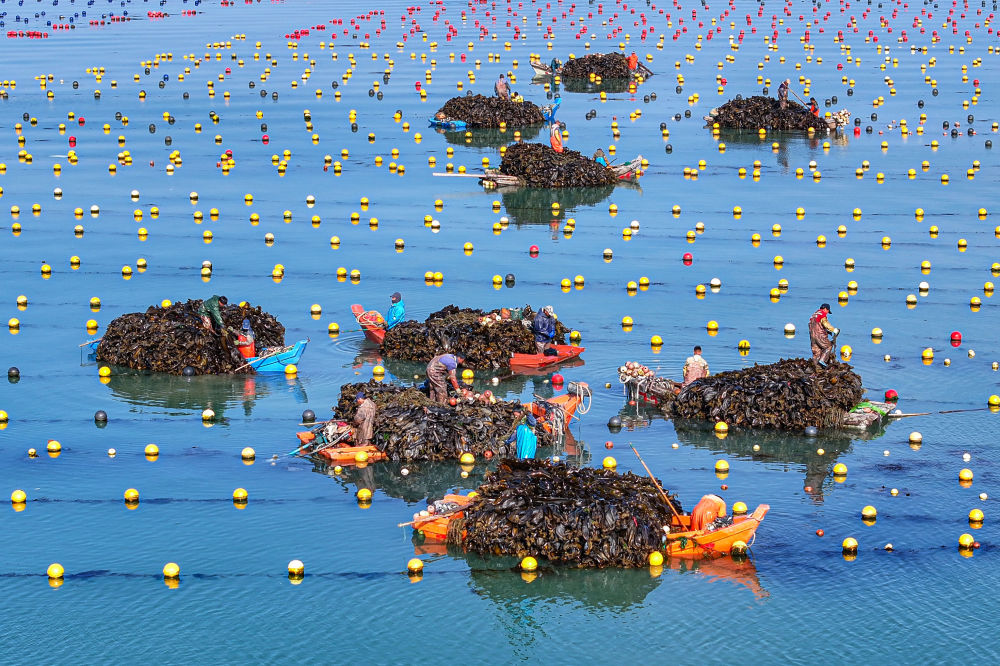 精耕深蓝，加快建设海洋强国——“中国经济圆桌会”聚焦海洋经济高质量发展