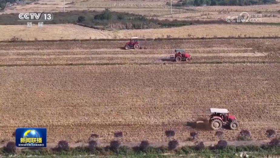 全国秋冬种加紧推进 冬小麦播种近七成