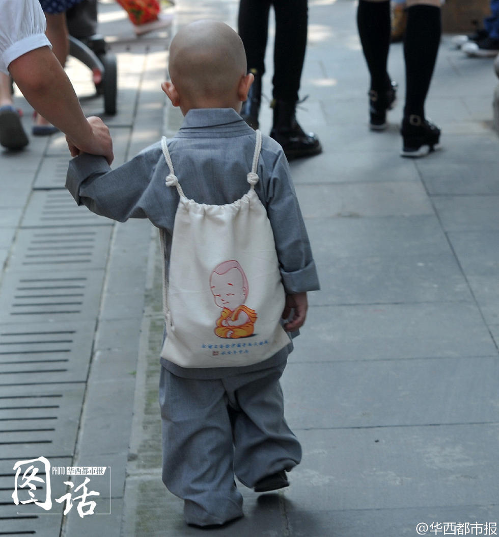 成都现一大波"小沙弥" 呆萌可爱