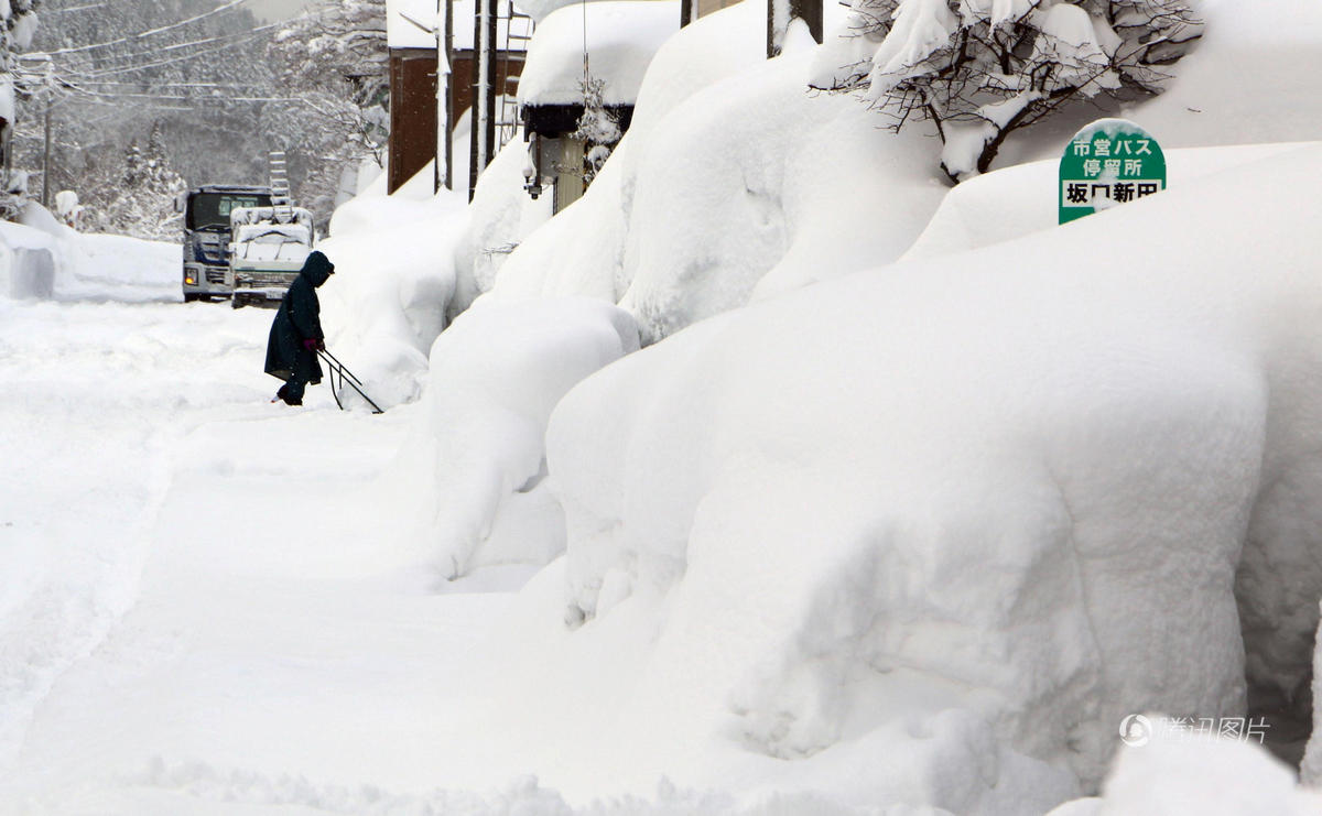 日本多地暴雪 雪景美呆了