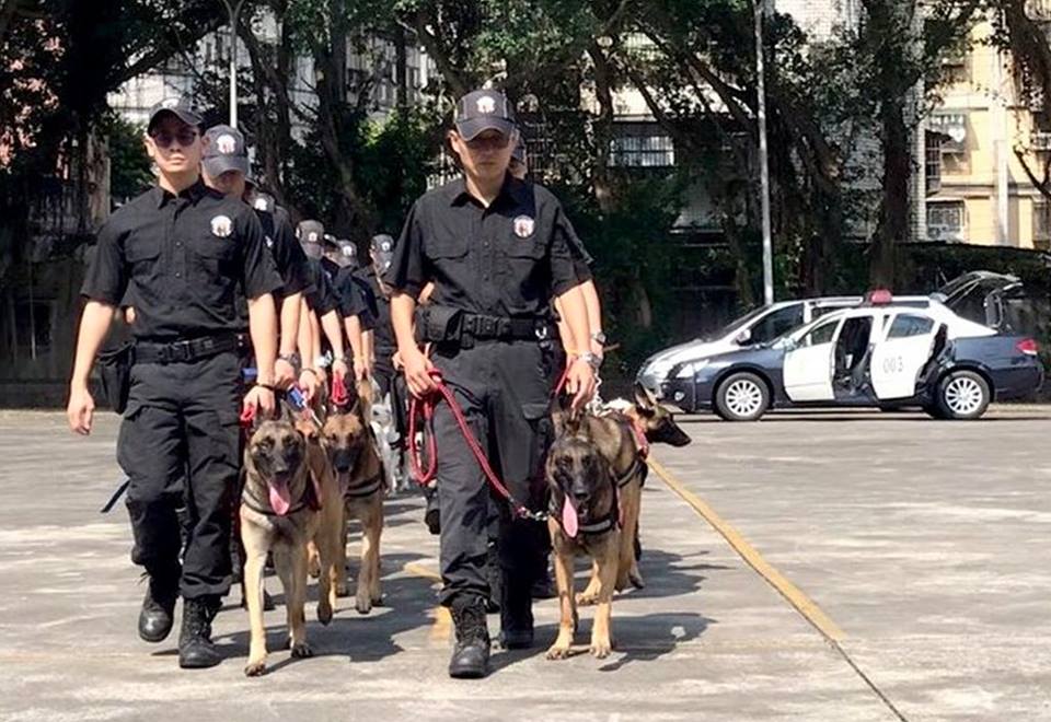 台湾新北市警局新来的几只警犬火了
