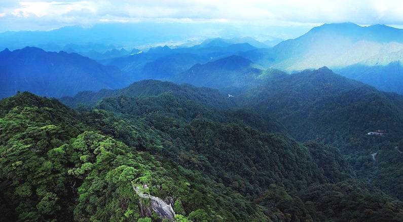 这是广东唯一的原始森林保留地
