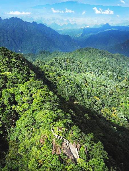 中国四大原始森林图片