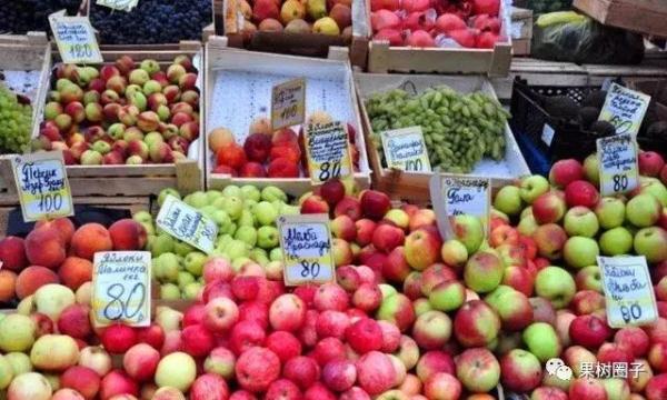 俄罗斯的水果市场,是国产水果杀出重围的突破口