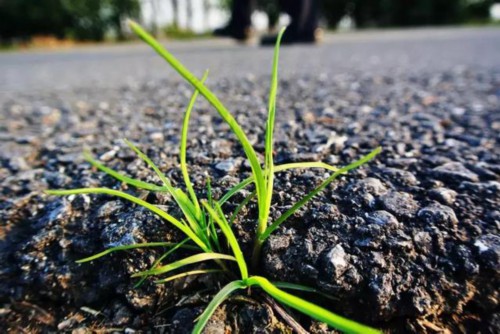 你若安好,便是晴天——心灵鸡汤遇到古诗词,会是什么样的情景?