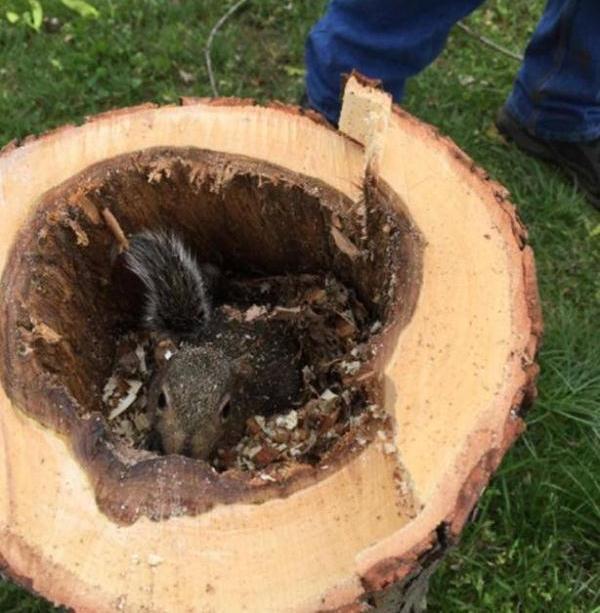 "劫后余生"的8个瞬间,感觉也太精准了