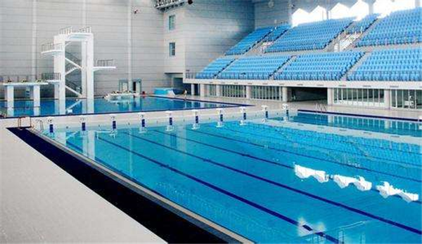 如果你想带狗狗去游泳,中小型犬游一次泳平均消费100多元,但肩高55