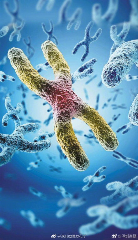 中国科学家打开"人造生命"大门