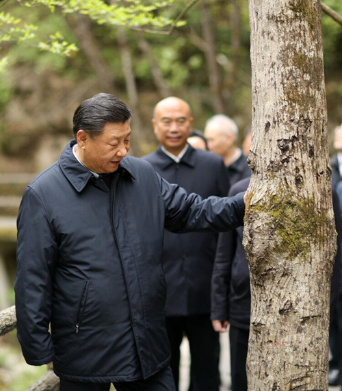 曾六次批示指示 习近平陕西考察首站关注这个“根本大计”