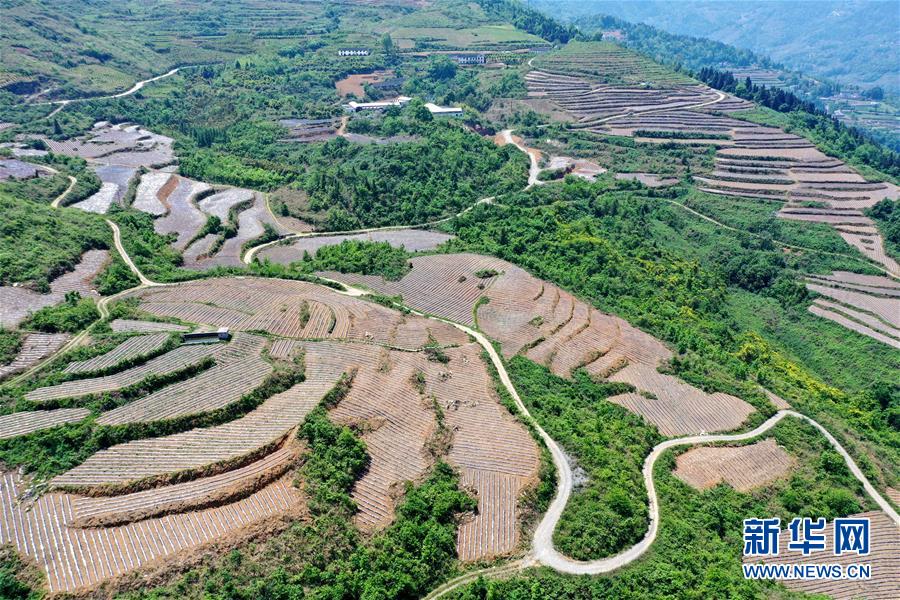 #（经济）（1）湖北恩施：“旱作梯田”农耕忙