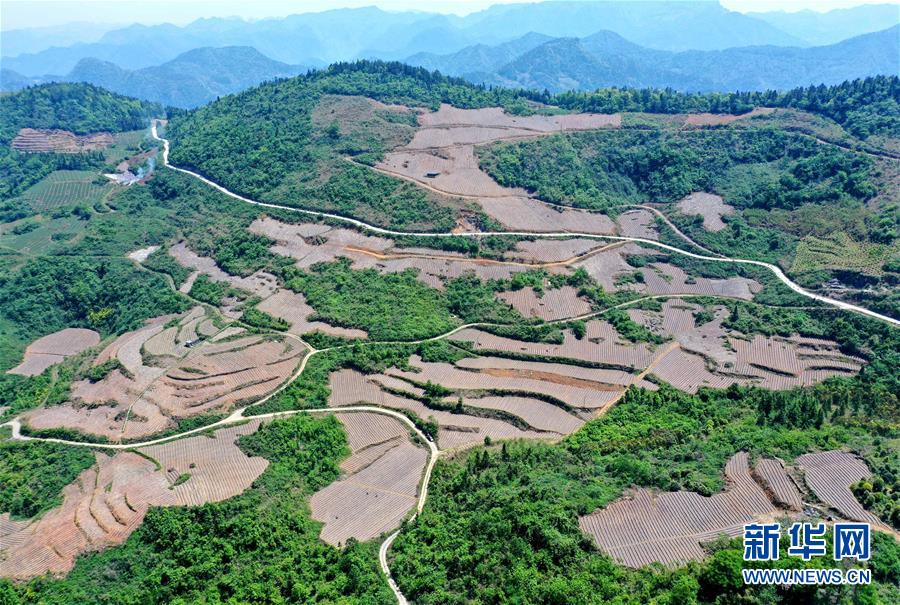 #（经济）（3）湖北恩施：“旱作梯田”农耕忙