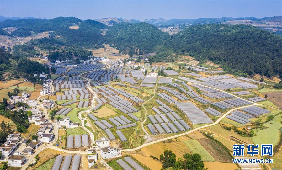 黔西gdp_黔西世杰中学(2)