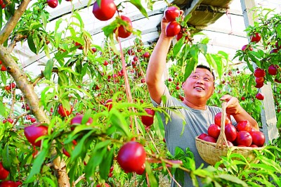 安徽：动能“跑起来” 经济“活起来”