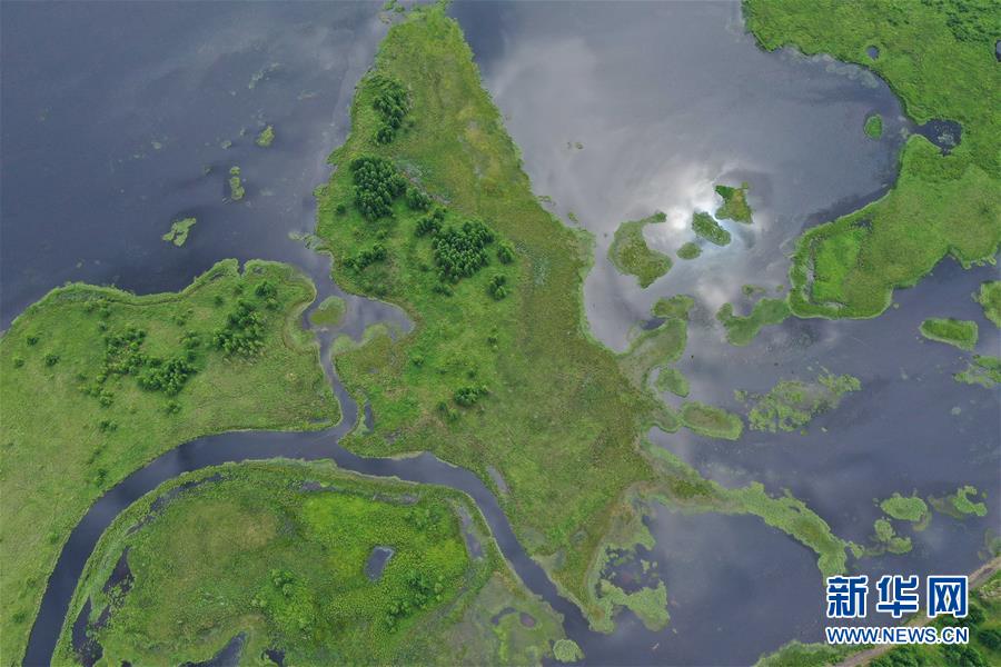 阿尔山夏日美景