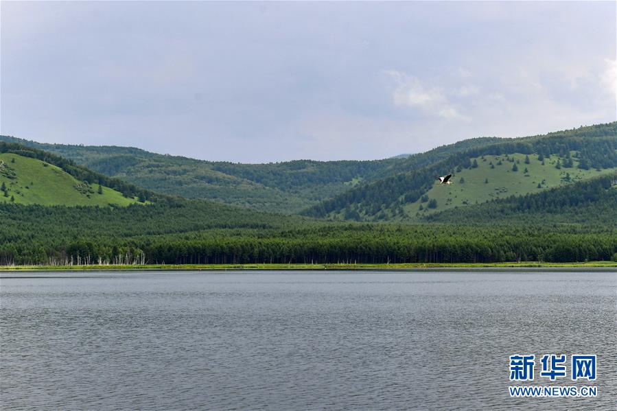 阿尔山夏日美景