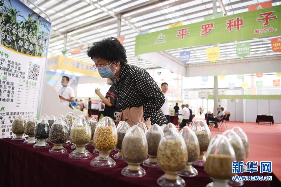 （社会）（1）宁夏：种业博览会助力乡村振兴