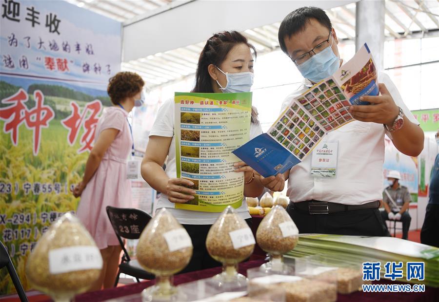 （社会）（2）宁夏：种业博览会助力乡村振兴