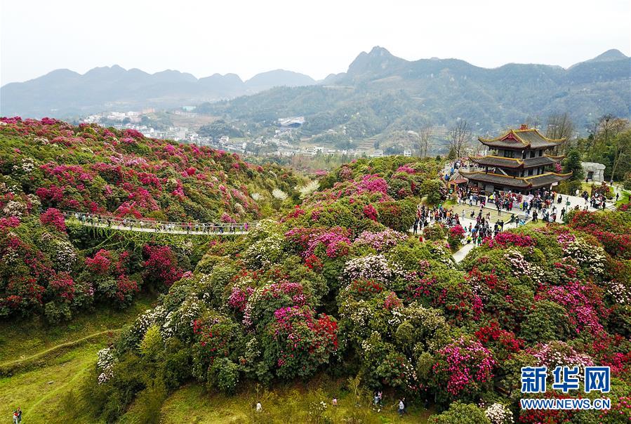 贵州已建立106个自然保护区