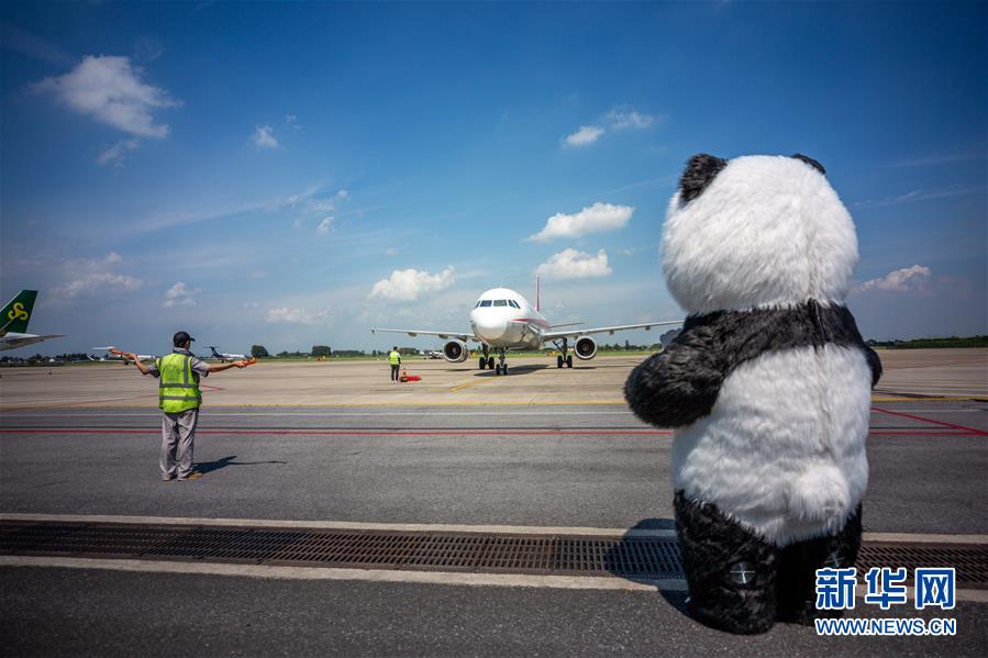 江苏扬州：转运大熊猫