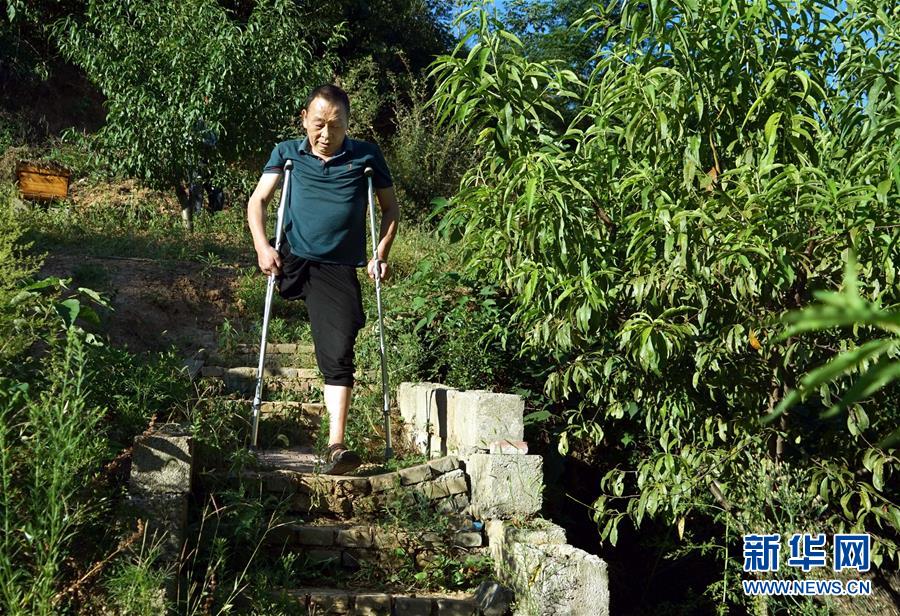 伏牛山区脱贫故事——独腿养蜂人 领跑脱贫路