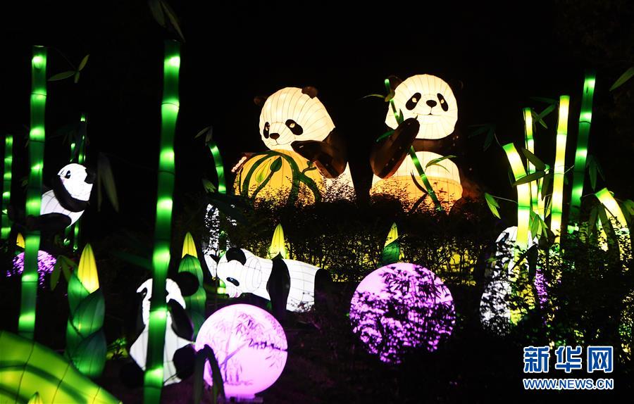重庆:首届南温泉灯会亮灯