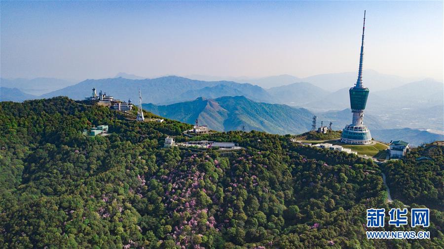 （深圳特区40年）（12）天空之眼瞰深圳