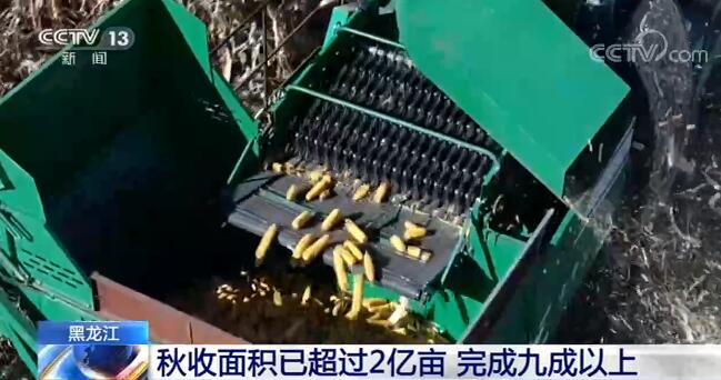 全国各粮食主产区秋收接近尾声 丰收已成定局 全国各粮食主产区秋收接近尾声 丰收已成定局