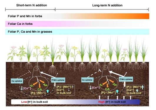 没了它们,套马的汉子还能威武雄壮吗? 没了它们,套马的汉子还能威武雄壮吗?