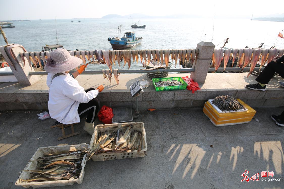 Fishermen making sweet sun-dried fish in east China's Shandong