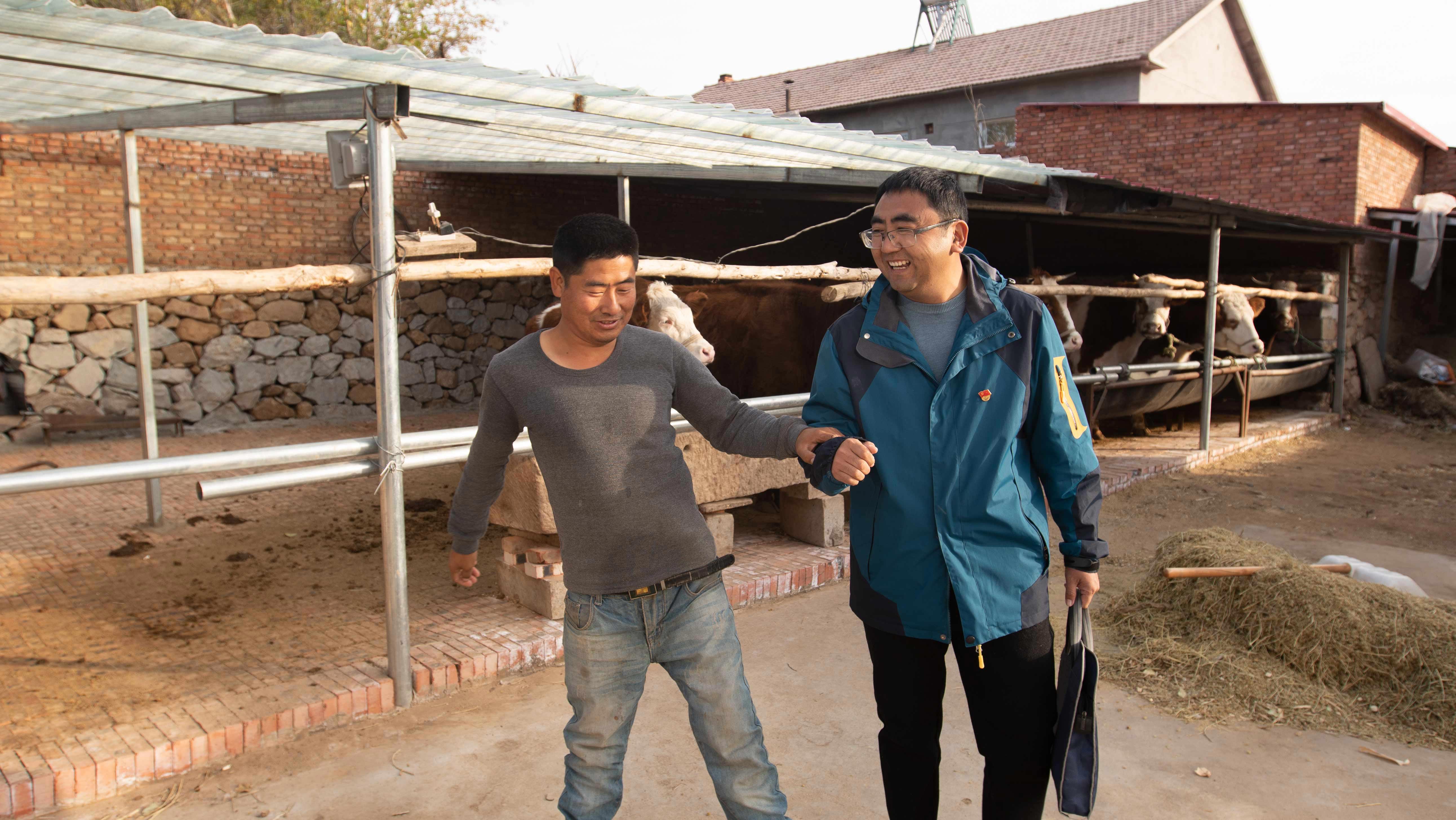 在刘叶阳和扶贫工作队的帮助下,马金豹已经成