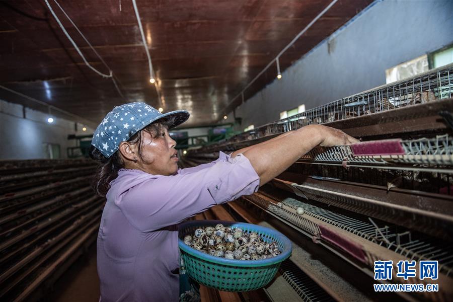 麻怀村的“幸福隧道” (脱贫攻坚·扶贫印记)(9)麻怀村的“幸福隧道”