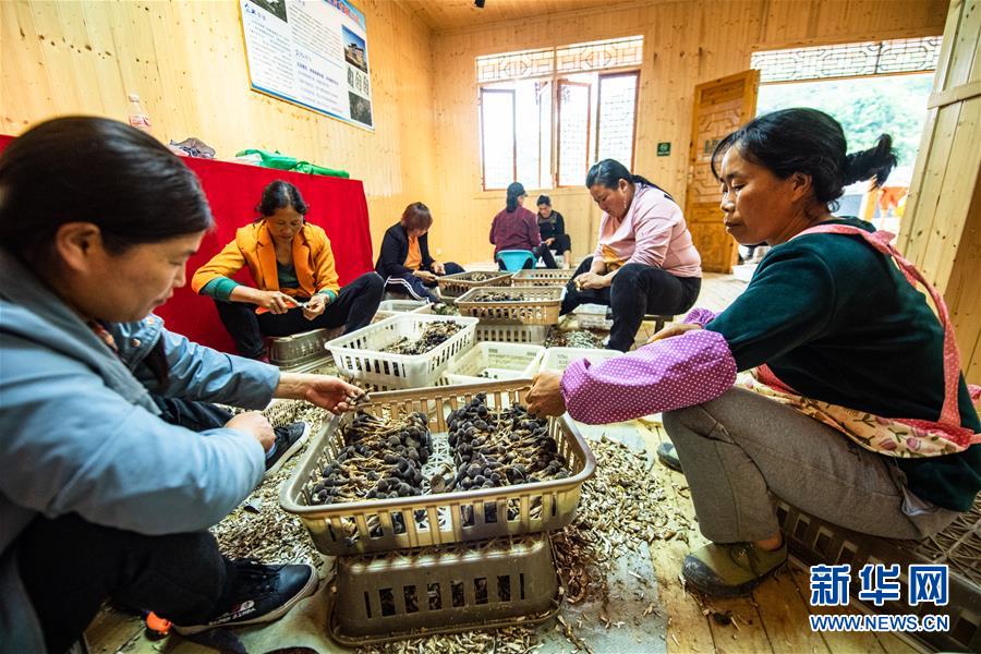 麻怀村的“幸福隧道” (脱贫攻坚·扶贫印记)(12)麻怀村的“幸福隧道”