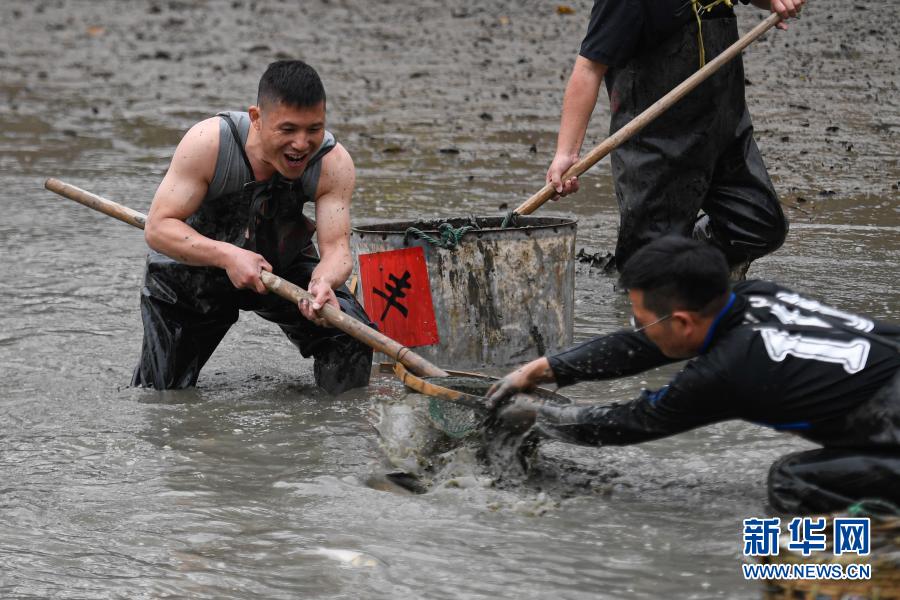 杭州：西溪湿地 乐享“干塘”捕鱼