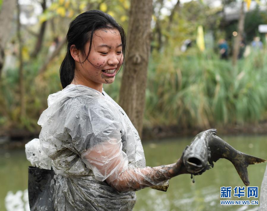 杭州：西溪湿地 乐享“干塘”捕鱼