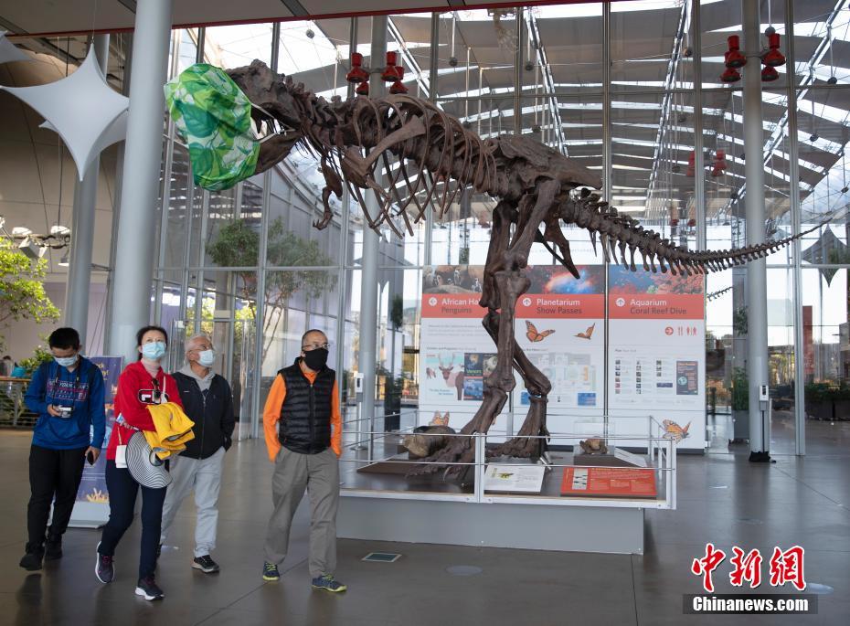 美国加州科学博物馆巨型“霸王龙”戴口罩“迎客”