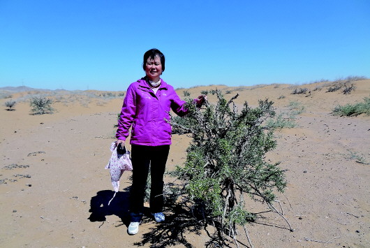 在黄土高原，她“找到”了防风固沙的“它”