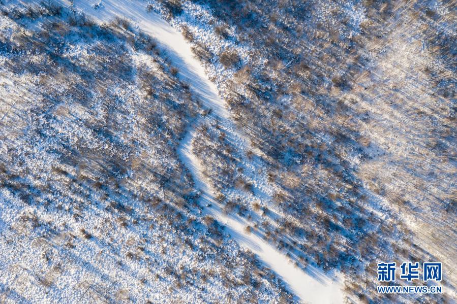 “北极”冬日林海雪原展画卷