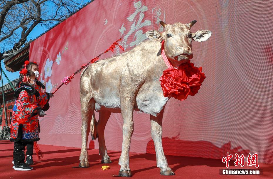 北京：“鞭打春牛”迎春来